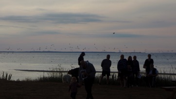 SANKT HANS LYSTRUP STRAND 2019 47.jpg SANKT HANS LYSTRUP STRAND 2019 47.jpg